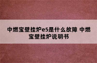 中燃宝壁挂炉e5是什么故障 中燃宝壁挂炉说明书